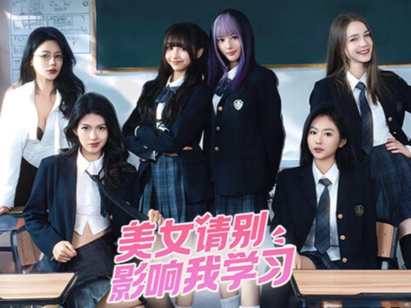 美女，请别影响我学习-Pivix